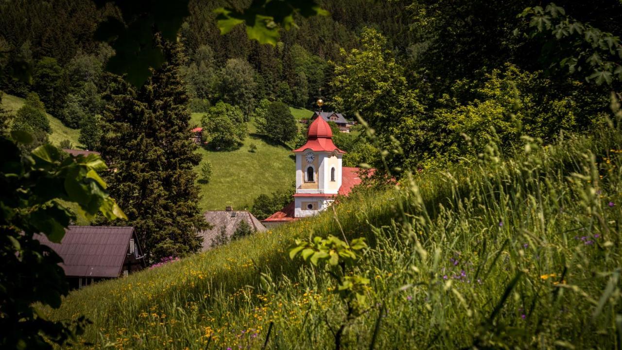 Pension U Pece Pec pod Sněžkou Extérieur photo